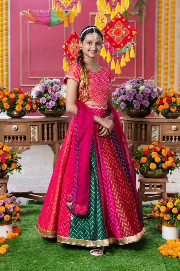 Presenting a multi-colored lehenga set featuring vibrant red fitted crop top in silk and organza adorned with golden chevron embroidery. The round neckline and cap sleeves are highlighted with golden piping