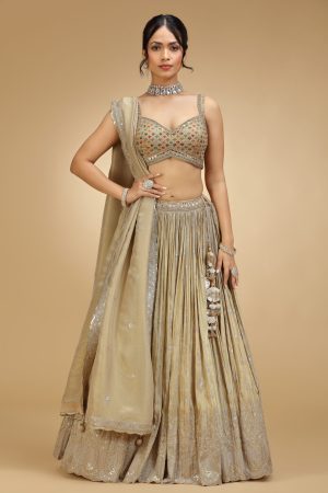 Golden Muslin gold tissue silver embroidered lehenga set with sleeveless embroidered blouse